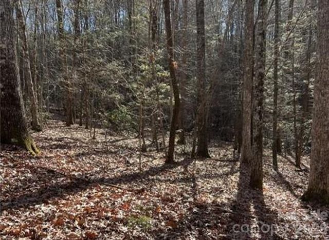 0 Twin Maple Way 5, Mill Spring, NC 28756