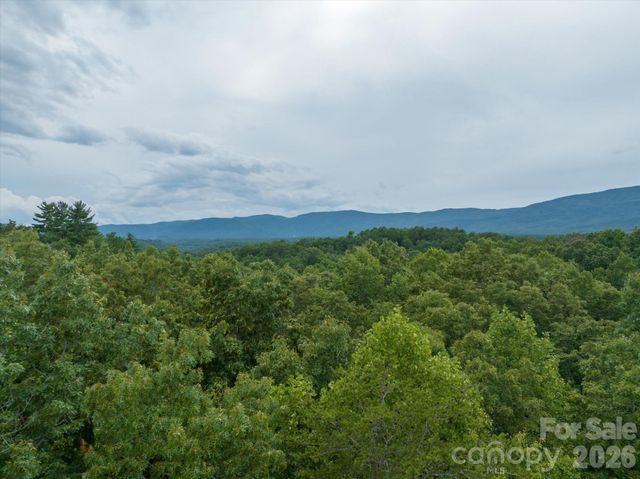 0 Twin Maple Way 5, Mill Spring, NC 28756