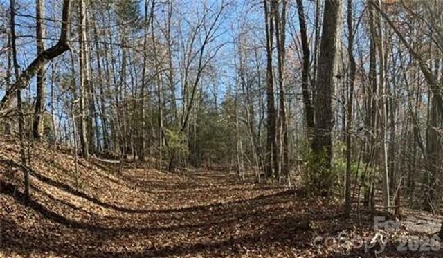 0 Twin Maple Way 5, Mill Spring, NC 28756
