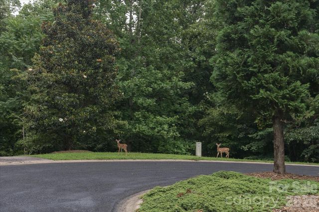 0 Twin Maple Way 5, Mill Spring, NC 28756