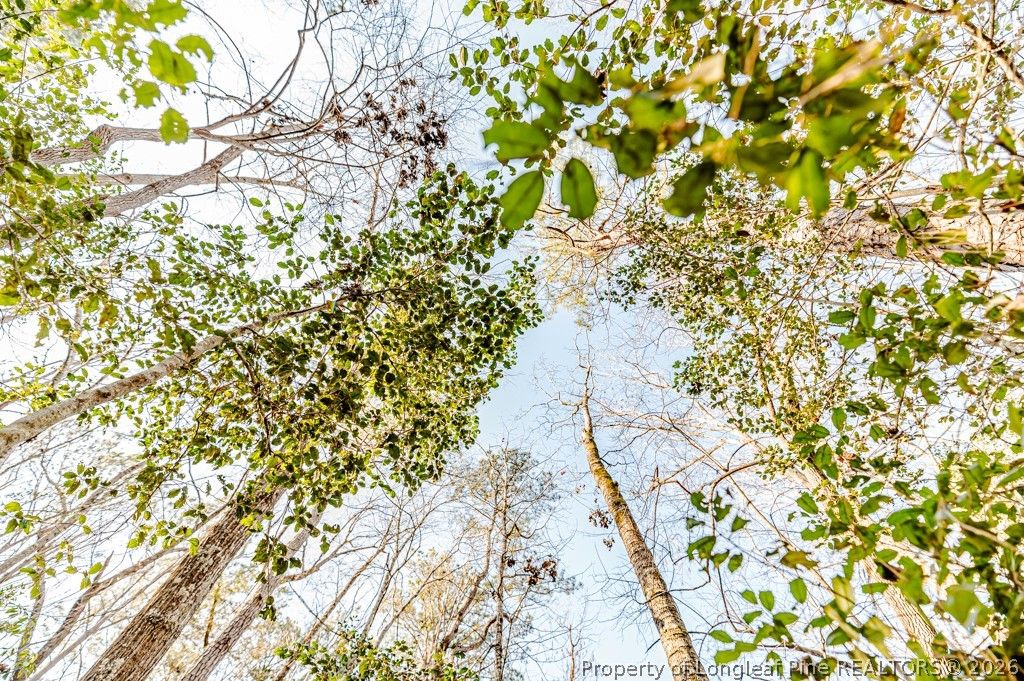 2027 Long Point Trail, Sanford, NC 27332 — photo 2