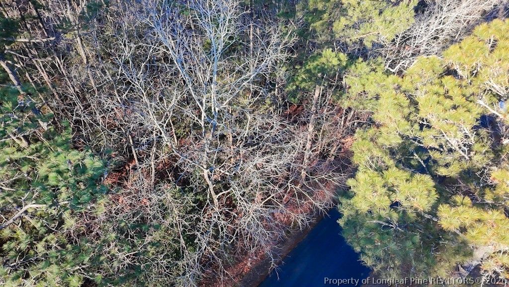 2027 Long Point Trail, Sanford, NC 27332 — photo 21