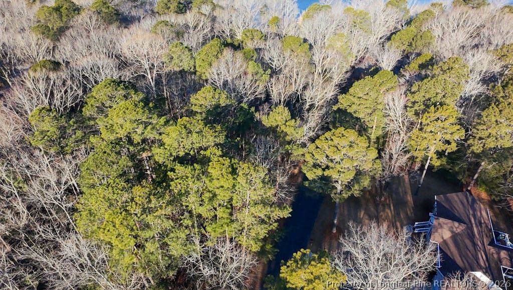 2027 Long Point Trail, Sanford, NC 27332 — photo 3