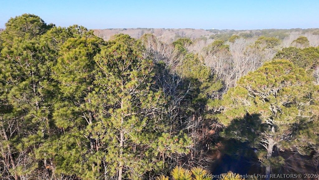 2027 Long Point Trail, Sanford, NC 27332 — photo 4