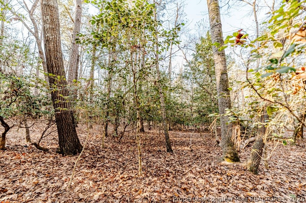 2027 Long Point Trail, Sanford, NC 27332 — photo 5