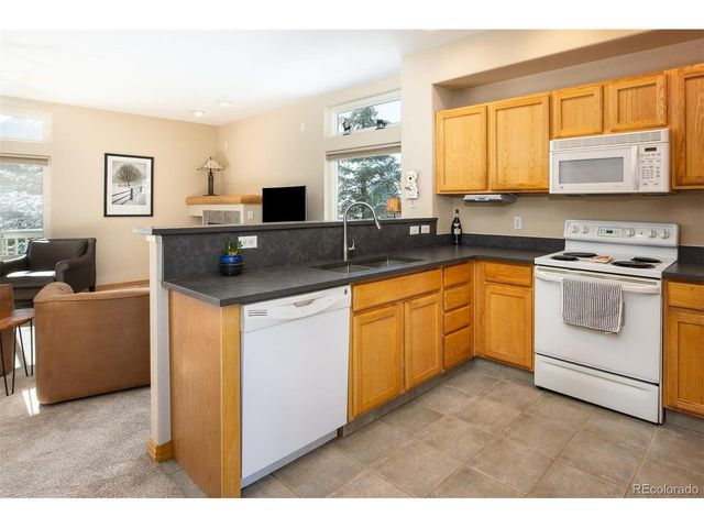 100 Mountain Vista Ln, Silverthorne, CO 80498