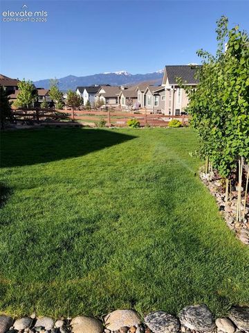 1955 Ruffino Drive, Colorado Springs, CO 80921