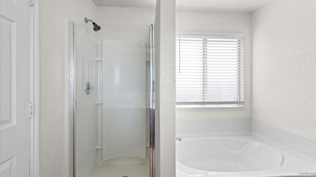 11842 Silver Coins, San Antonio, TX 78254