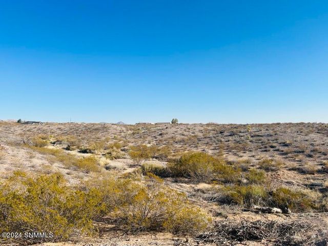 4338 RC Gorman Loop, Las Cruces, NM 88011