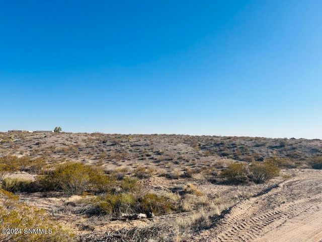 4338 RC Gorman Loop, Las Cruces, NM 88011
