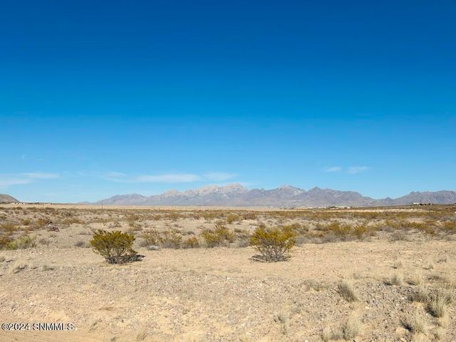 4338 RC Gorman Loop, Las Cruces, NM 88011