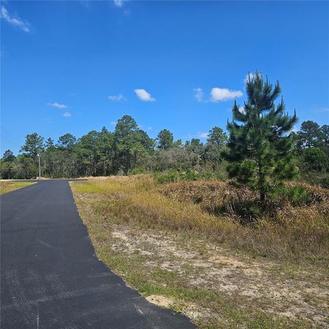 1836 HILOCHEE RIDGE ROAD, Clermont, FL 34714