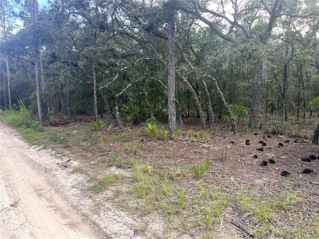 NE 85TH STREET, Bronson, FL 32621