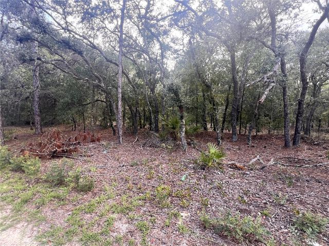 NE 85TH STREET, Bronson, FL 32621