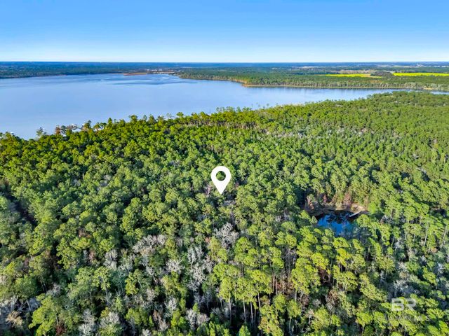 0 Weeks Bay Road, Magnolia Springs, AL 36555