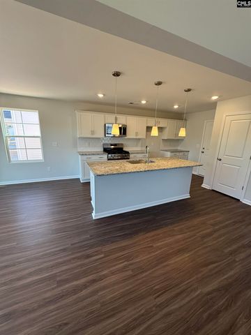 203 Laurinton Farms Drive, Hopkins, SC 29061