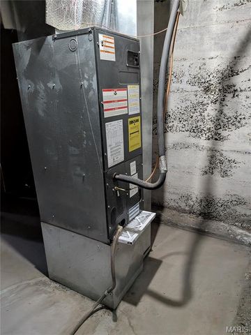 3900 Ray Avenue, St Louis, MO 63116