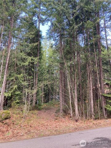 30 N Skokomish Drive, Hoodsport, WA 98548