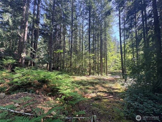 30 N Skokomish Drive, Hoodsport, WA 98548