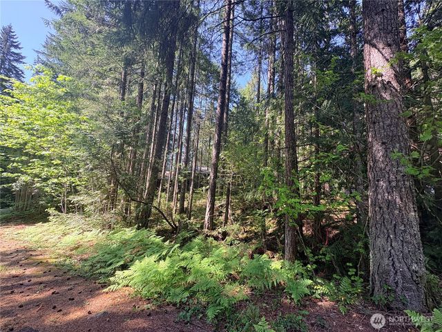 30 N Skokomish Drive, Hoodsport, WA 98548