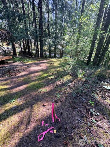30 N Skokomish Drive, Hoodsport, WA 98548