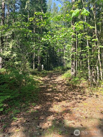 30 N Skokomish Drive, Hoodsport, WA 98548