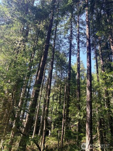 30 N Skokomish Drive, Hoodsport, WA 98548