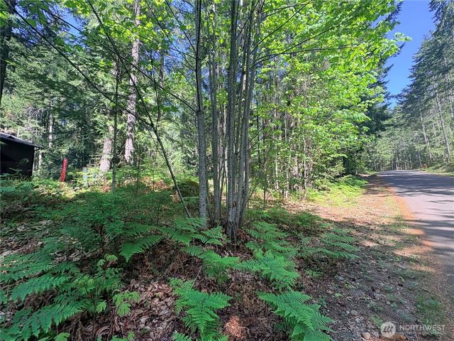 30 N Skokomish Drive, Hoodsport, WA 98548