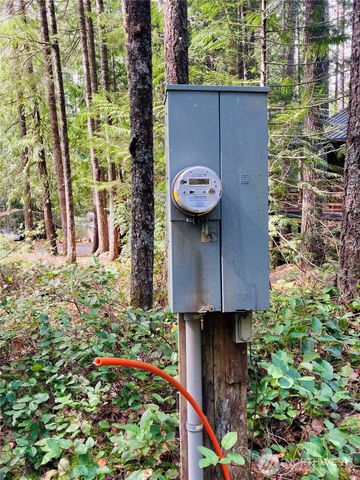 30 N Skokomish Drive, Hoodsport, WA 98548
