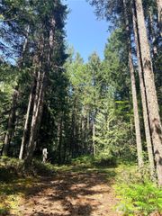 30 N Skokomish Drive, Hoodsport, WA 98548