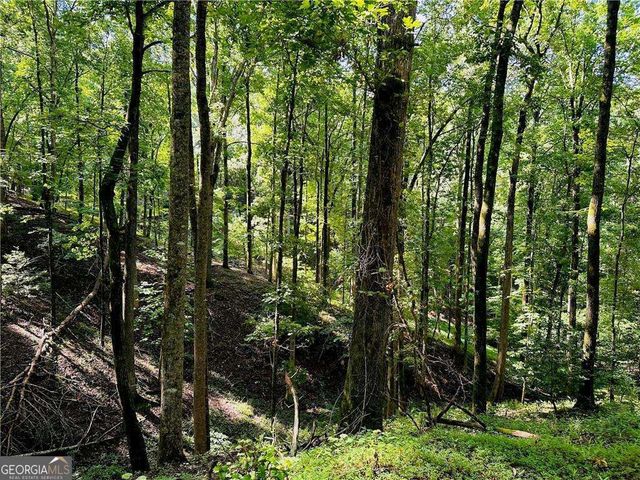 7.123 Acres Halls Mill Road, Dahlonega, GA 30533