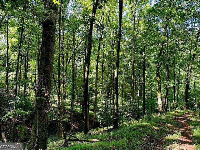 7.123 Acres Halls Mill Road, Dahlonega, GA 30533