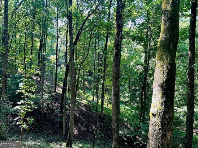 7.123 Acres Halls Mill Road, Dahlonega, GA 30533