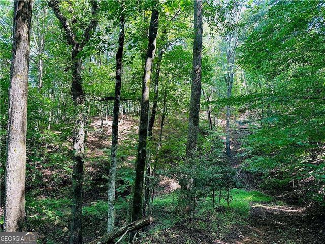 7.123 Acres Halls Mill Road, Dahlonega, GA 30533