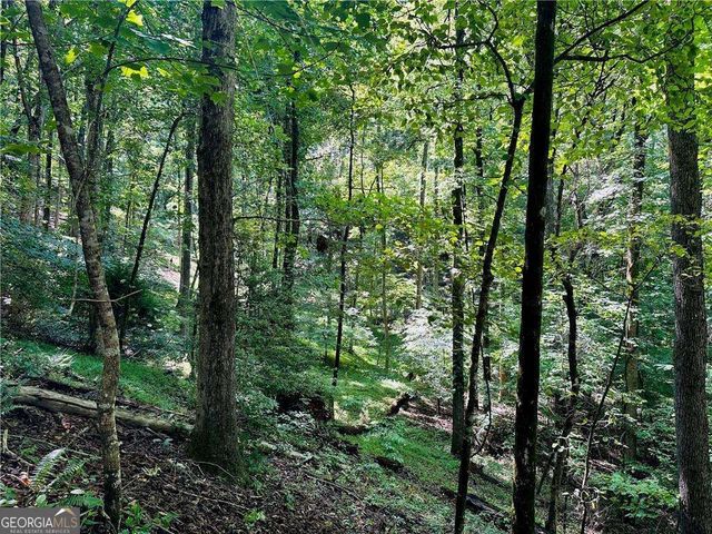 7.123 Acres Halls Mill Road, Dahlonega, GA 30533