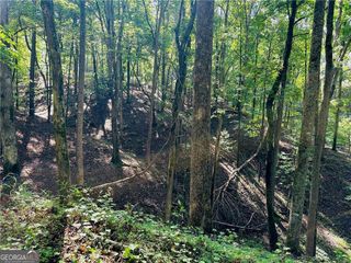 7.123 Acres Halls Mill Road, Dahlonega, GA 30533