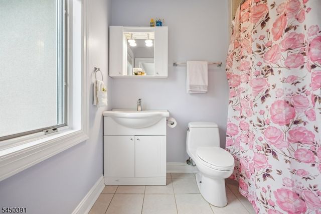 537 Mount Kemble Ave, Harding Twp., NJ 07960