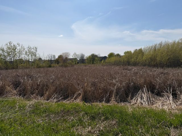 1703 Spruce Street, Farmington, MN 55024