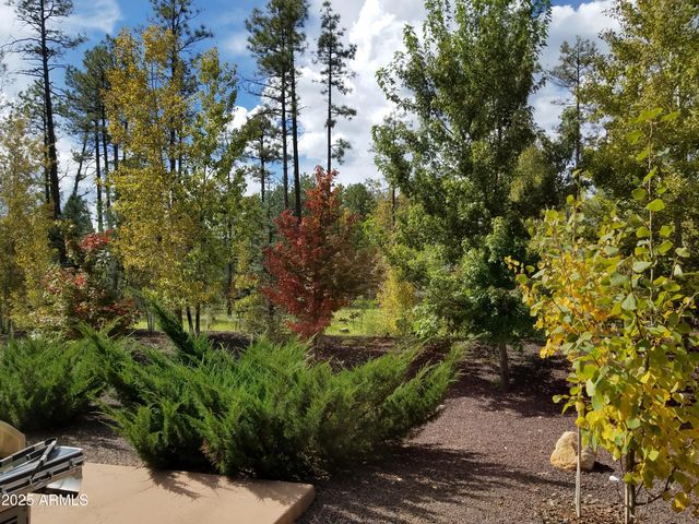 5410 N SAINT ANDREWS Drive, Lakeside, AZ 85929