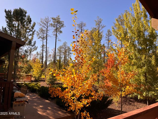 5410 N SAINT ANDREWS Drive, Lakeside, AZ 85929