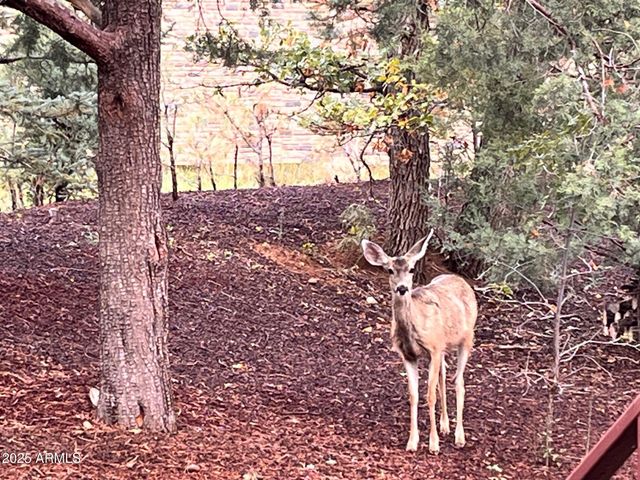 5410 N SAINT ANDREWS Drive, Lakeside, AZ 85929