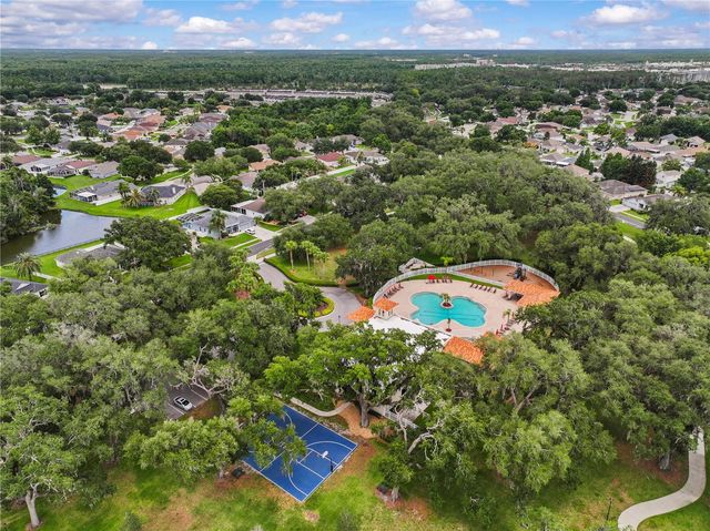 3423 SANTA RITA LANE, Land O Lakes, FL 34639