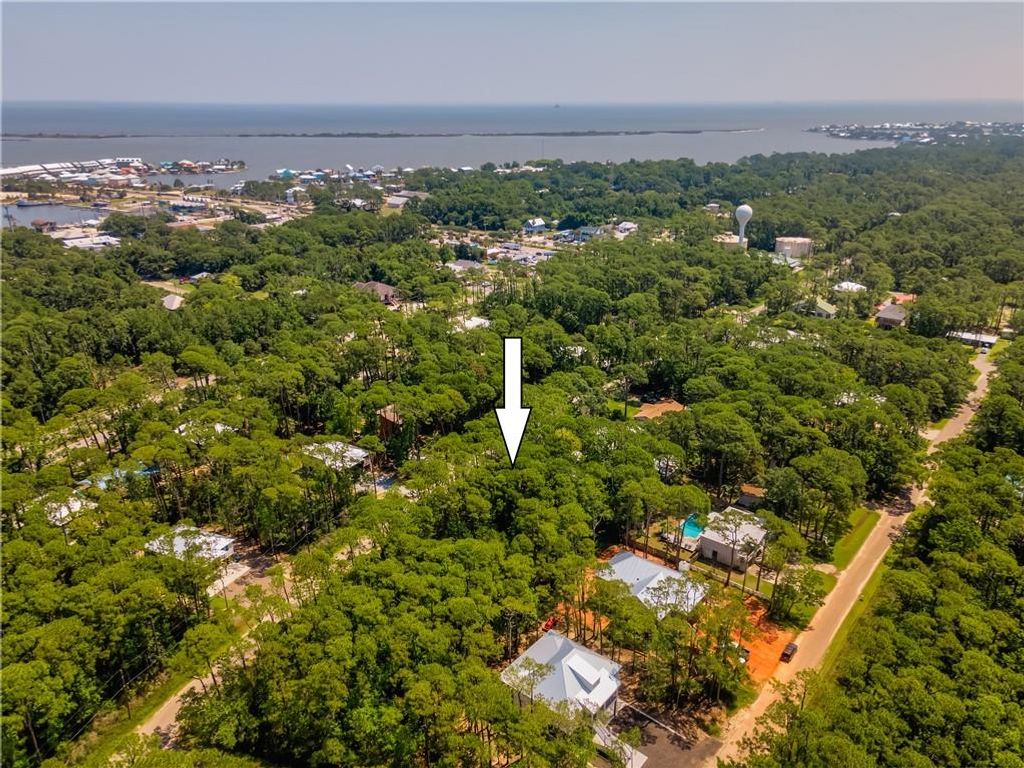 1105 Alabama Avenue, Dauphin Island, AL 36528 — photo 2