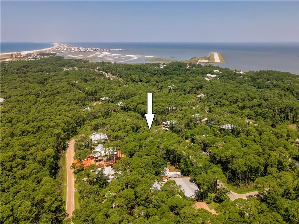1105 Alabama Avenue, Dauphin Island, AL 36528 — photo 4