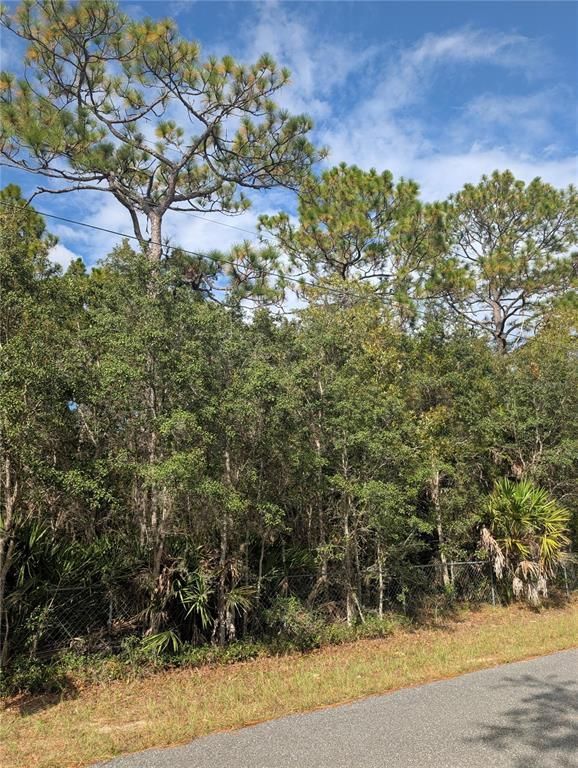 6499 W HERITAGE DRIVE, Homosassa, FL 34448