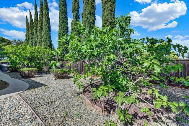 442 Yellowstone Dr, Vacaville, CA 95687