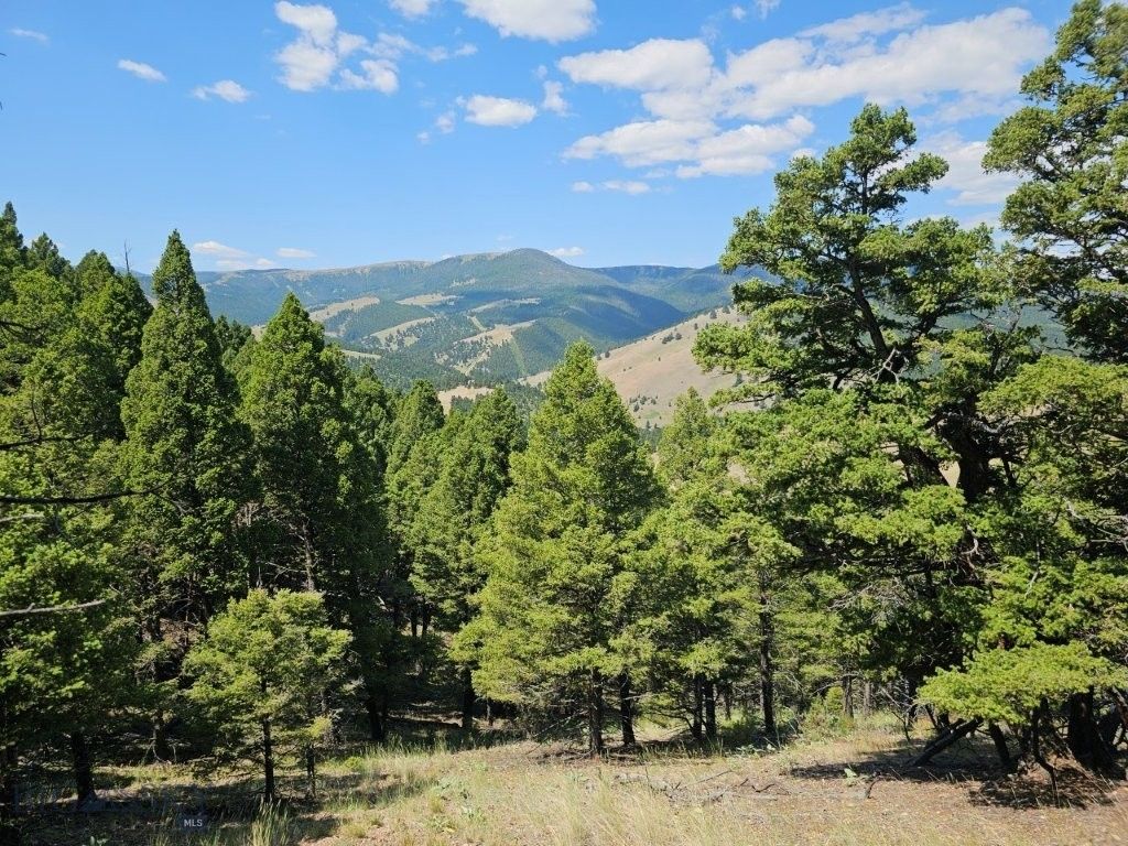 Banner Clancy Creek Road, Clancy, MT 59634 — photo 4