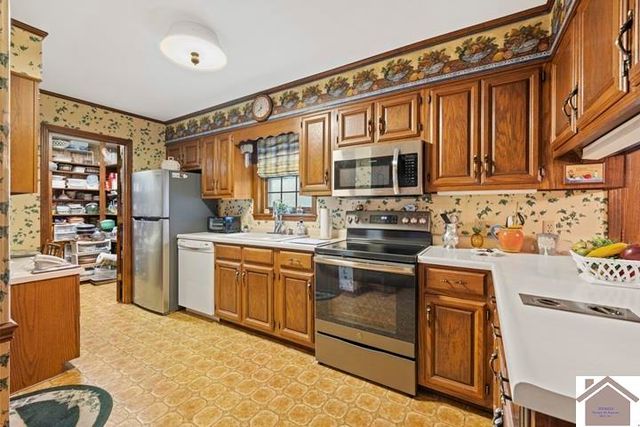 281 Lakeview Drive, Mayfield, KY 42066