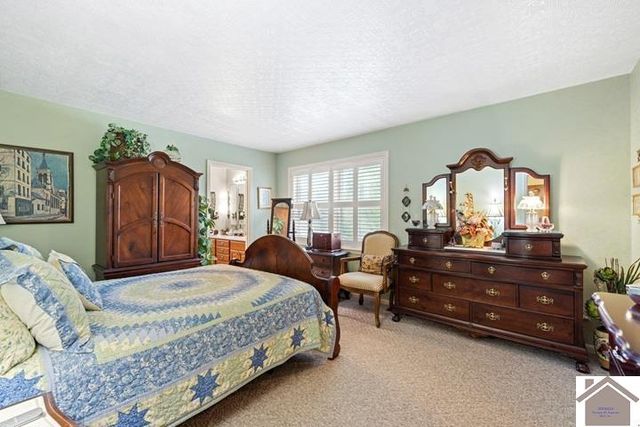 281 Lakeview Drive, Mayfield, KY 42066