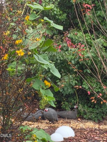 59 Two Belles Court, Angier, NC 27501